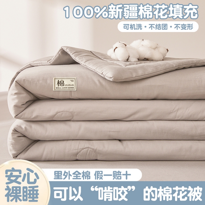 91家纺网 家纺一手货源 找家纺 晓时候 2026新款纯色100%里外全棉新疆棉花被纯棉夏凉被空调被夏被四件套被子被芯 里外全棉-月光灰