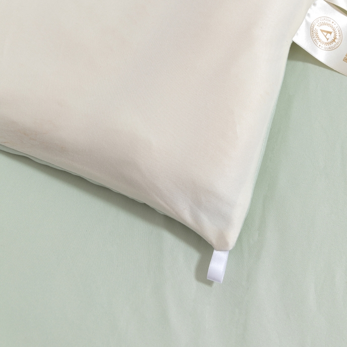 91家纺网 家纺一手货源 找家纺 莉迪娅 2026新款深睡控温云朵被被子被芯 米白拼浅绿