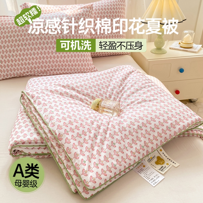 恋之巢家纺 2026新款四季款可水洗牛奶丝针织棉夏被大豆夏凉被空调被可机洗薄被子被芯直播外贸专供大豆被夏被 仲夏-软糯款