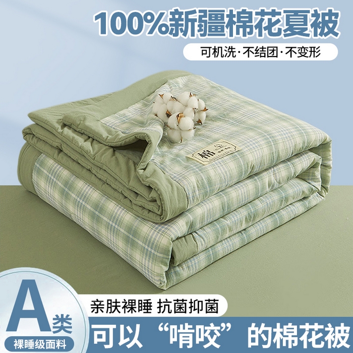 晓时候 2026新款无印风100%新疆棉花被全棉夏被纯棉夏凉被空调被夏季被子被芯 青柠绿