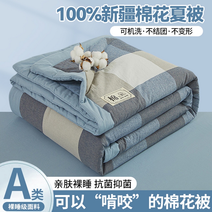 晓时候 2026新款无印风100%新疆棉花被全棉夏被纯棉夏凉被空调被夏季被子被芯 莫奈蓝