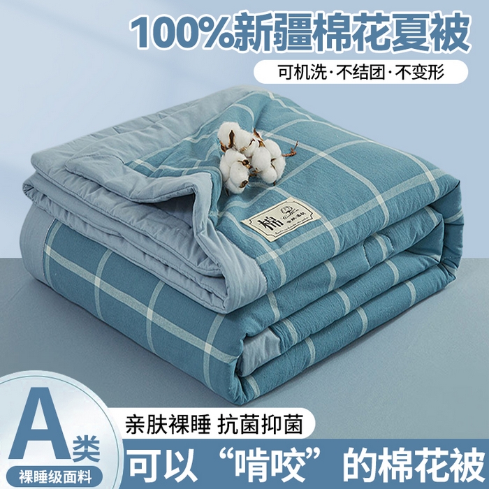 晓时候 2026新款无印风100%新疆棉花被全棉夏被纯棉夏凉被空调被夏季被子被芯 马卡龙