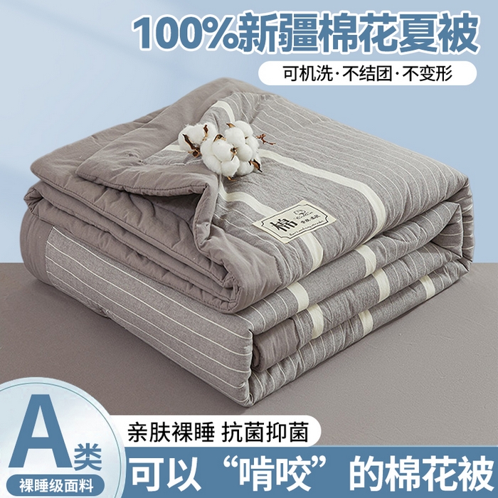 晓时候 2026新款无印风100%新疆棉花被全棉夏被纯棉夏凉被空调被夏季被子被芯 条纹灰