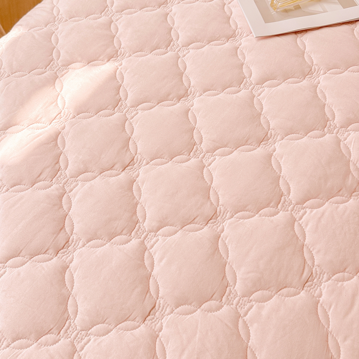 91家纺网 家纺一手货源 找家纺 佳笠家居 2026春夏新款A类韩版全棉水洗棉新疆棉花少女风床裙单件床裙单品单床裙-床拍图 床裙款-芝夏粉