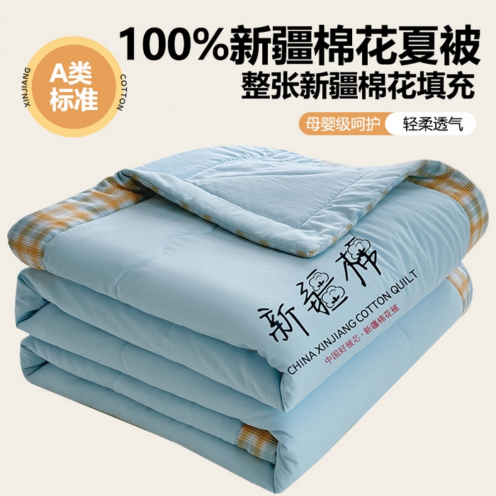 蓝雀翎 2026新款水洗棉100%棉花夏被夏凉被空调被包检测 天蓝色