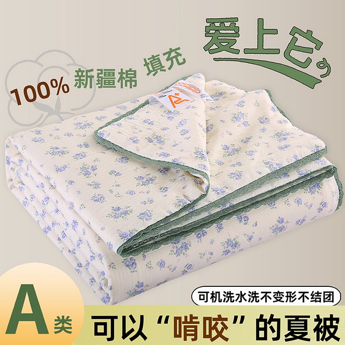 91家纺网 家纺一手货源 找家纺 （总）米萝家居 2026新款100%棉花夏被四件套双层纱夏凉被空调被 被子被芯直播【风格二】