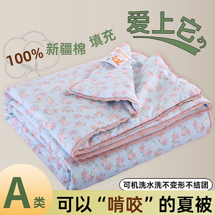 91家纺网 家纺一手货源 找家纺 米萝家居 2026新款100%棉花夏被四件套双层纱夏凉被空调被 被子被芯直播【风格二】 锦上添花