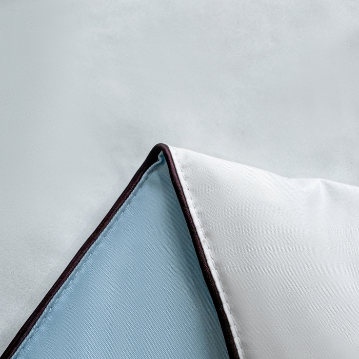 91家纺网 家纺一手货源 找家纺 蕾诺家纺 2026新款冰丝烫画夏被空调被夏凉被 被子被芯 浅蓝白