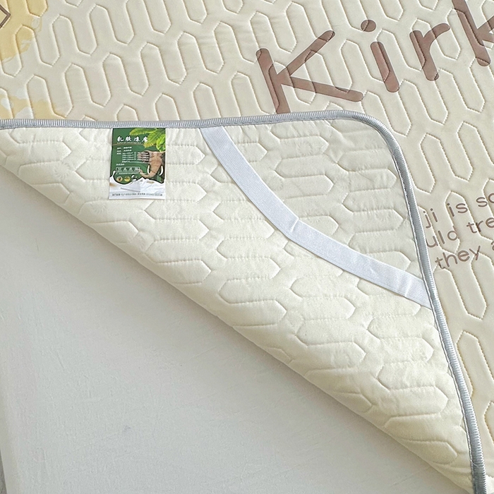 91家纺网 家纺一手货源 找家纺 佳鸿家纺 2026新款卡通乳胶凉席二件套三件套冰丝软席空调席跨境爆款 柴犬