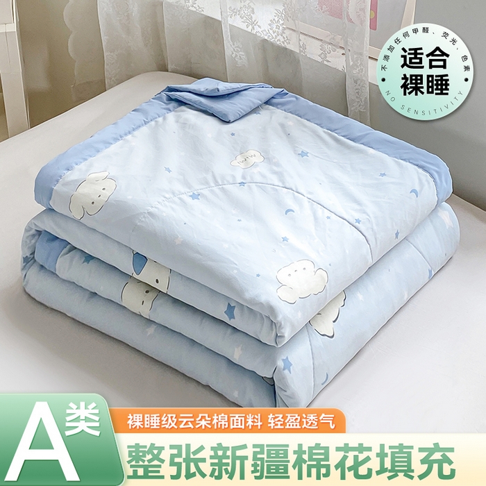 91家纺网 家纺一手货源 找家纺 （总）梵蒂莎 【地板价】2026新品水洗棉新疆棉花夏被印花夏被格子小清新空调被被子被芯（需要买家秀，加微信）