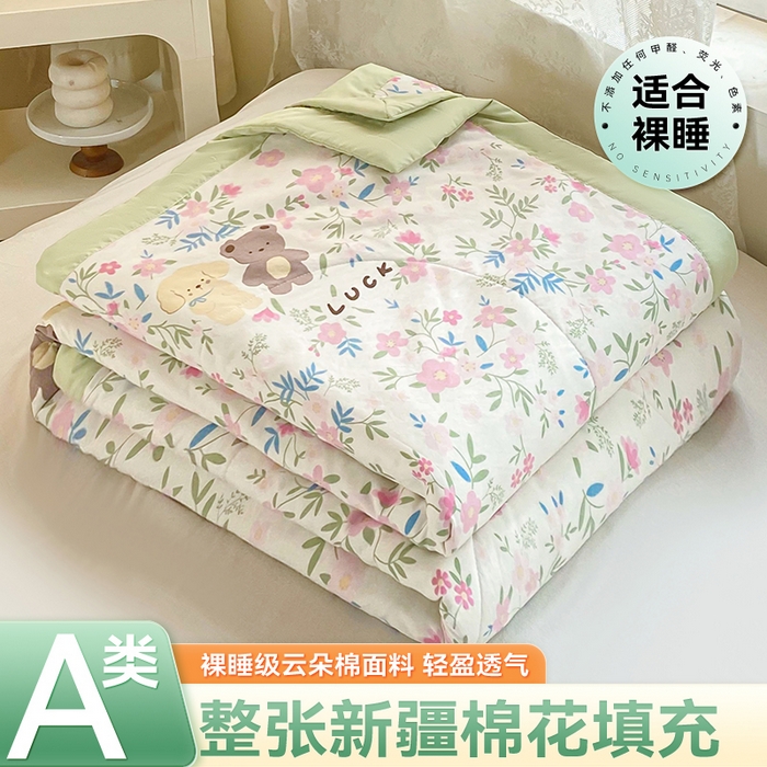 梵蒂莎 【地板价】2026新品水洗棉新疆棉花夏被印花夏被格子小清新空调被被子被芯（需要买家秀，加微信） 许愿熊