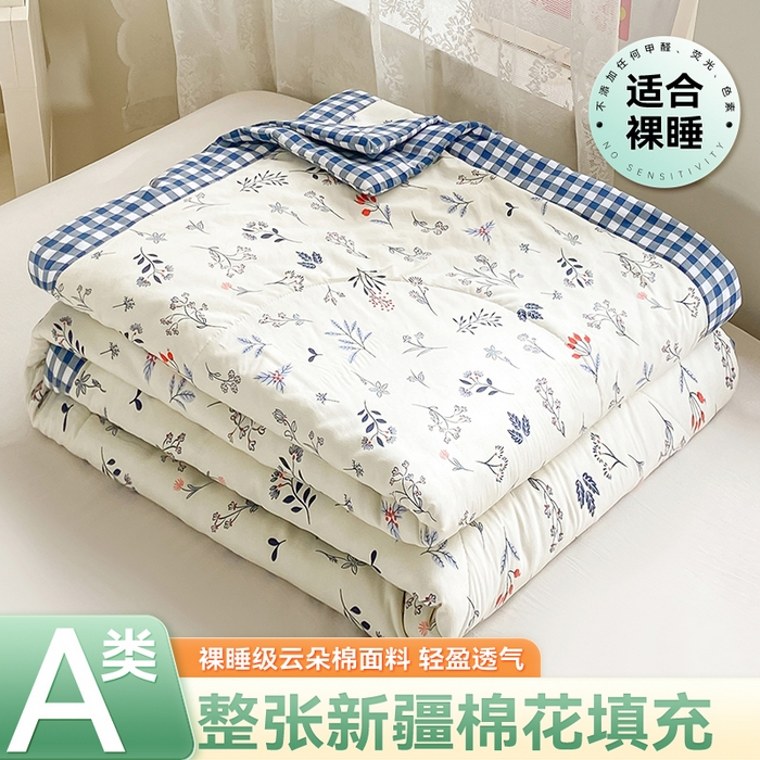 梵蒂莎 【地板价】2026新品水洗棉新疆棉花夏被印花夏被格子小清新空调被被子被芯（需要买家秀，加微信） 摇曳星光