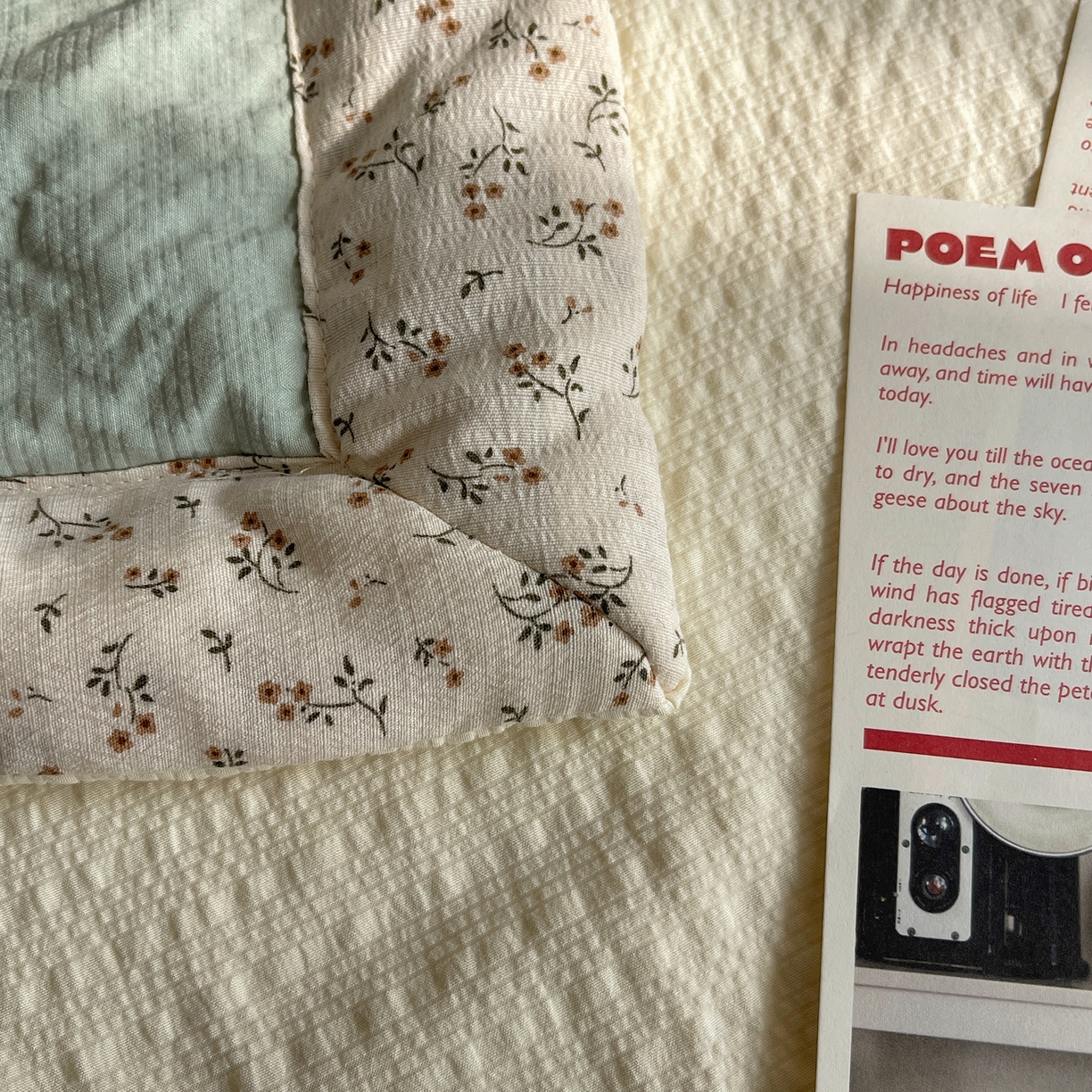 91家纺网 家纺一手货源 找家纺 贝扬思家纺 2026新款泡芙纱夏被夏凉被空调被贴布绣套件@小熊日记系列（可爱到犯规的夏被噜） 小熊日记-绿