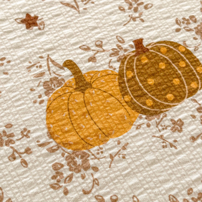 91家纺网 家纺一手货源 找家纺 几禾 2026新款高克重泡芙纱~印花款（单床单）-110g CD-秋末南瓜星