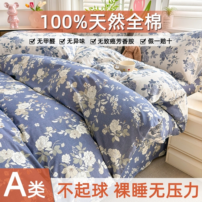 黛妮雅 2026新款全棉印花床单款四件套（送买家秀）青花絮语