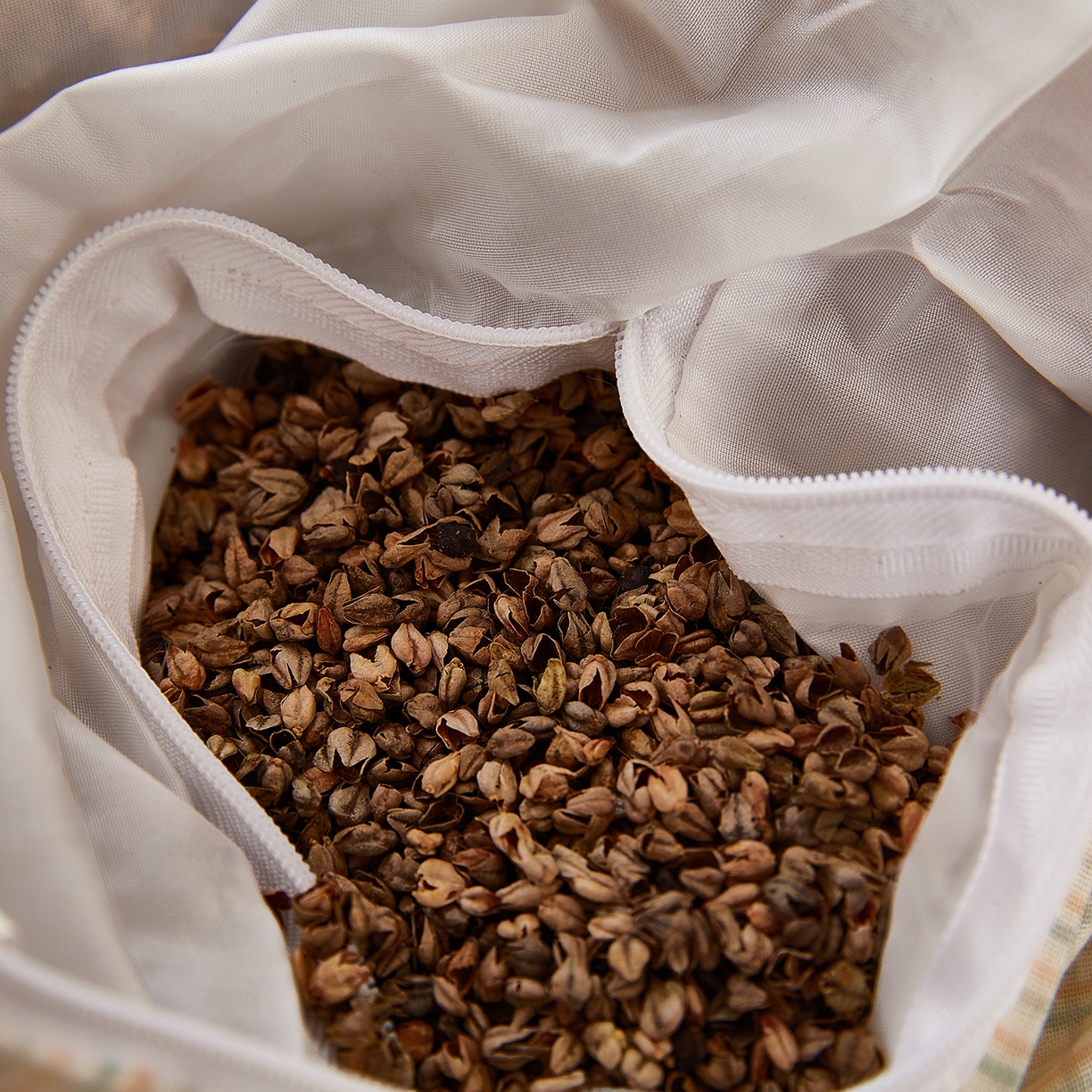 91家纺网 家纺一手货源 找家纺 梦叶草 2026新款全棉萌趣猫咪荞麦枕 萌趣猫咪-灰脸