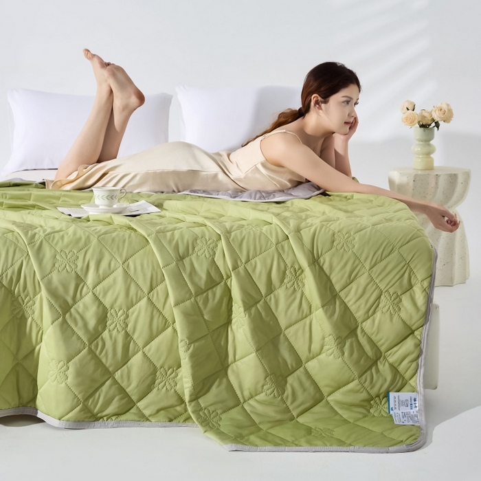 91家纺网 家纺一手货源 找家纺 天之悦家纺 2026跨境外贸可机洗水洗A类夏被冰淇淋凉感丝空调被子被芯夏凉被 果绿色配灰色（花纹款）