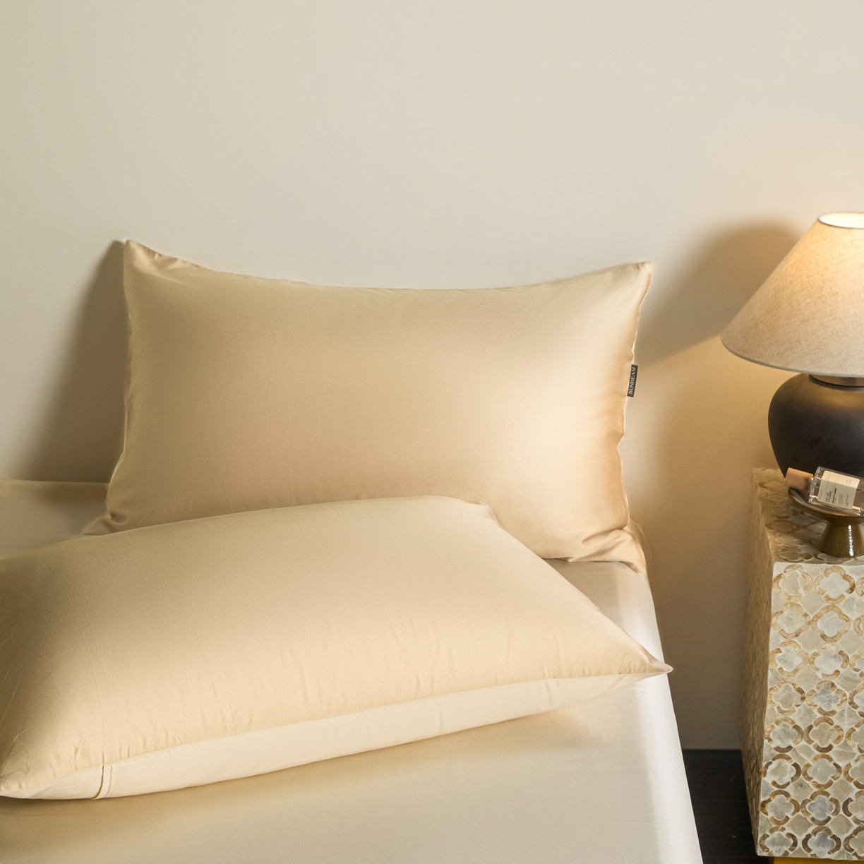 91家纺网 家纺一手货源 找家纺 秀色家纺 2026新款60S进口天丝贡缎新疆长绒棉纯色轻奢四件套 Air-天丝棉-温柔奶咖