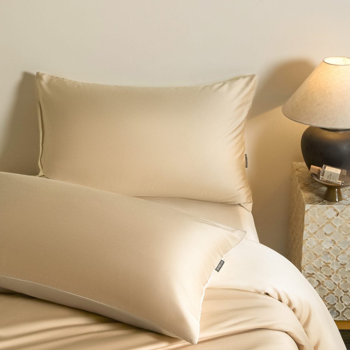 91家纺网 家纺一手货源 找家纺 秀色家纺 2026新款60S进口天丝贡缎新疆长绒棉纯色轻奢四件套 Air-天丝棉-温柔奶咖