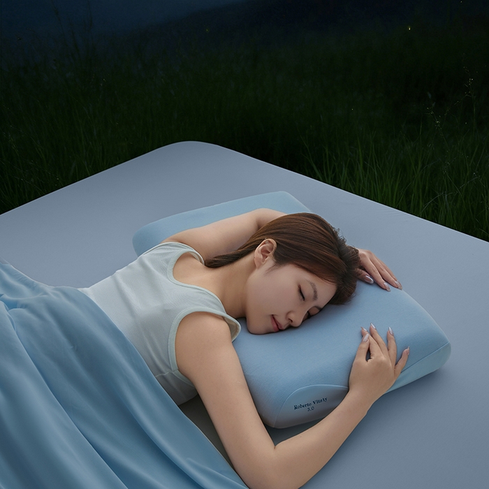 91家纺网 家纺一手货源 找家纺 锦鲤枕芯 2026爆款深睡眠Pro3.0 /2.0（40D）零压力记忆枕慢回弹护颈枕头枕芯 深睡眠Pro3.0  （三芯8cm）[枕芯+内套+深蓝枕套]