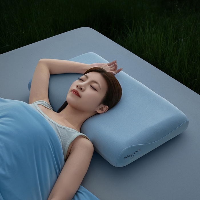 91家纺网 家纺一手货源 找家纺 锦鲤枕芯 2026爆款深睡眠Pro3.0 /2.0（40D）零压力记忆枕慢回弹护颈枕头枕芯 深睡眠Pro3.0  （三芯8cm）[枕芯+内套+深蓝枕套]