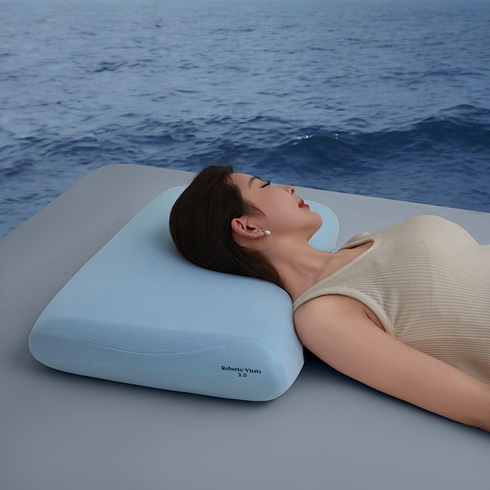 91家纺网 家纺一手货源 找家纺 锦鲤枕芯 2026爆款深睡眠Pro3.0 /2.0（40D）零压力记忆枕慢回弹护颈枕头枕芯 深睡眠Pro3.0  （三芯12cm）[枕芯+内套+青空蓝枕套]