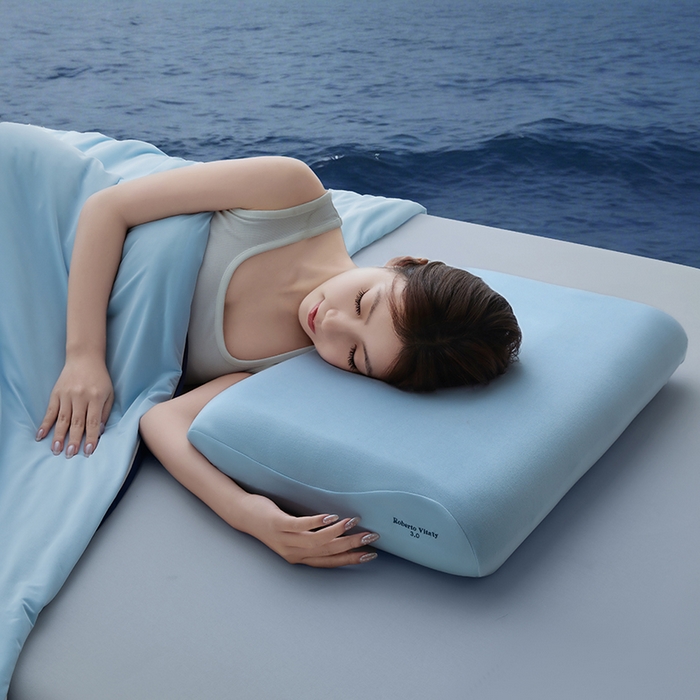 91家纺网 家纺一手货源 找家纺 锦鲤枕芯 2026爆款深睡眠Pro3.0 /2.0（40D）零压力记忆枕慢回弹护颈枕头枕芯 深睡眠Pro2.0  （三芯12cm）[枕芯+内套]