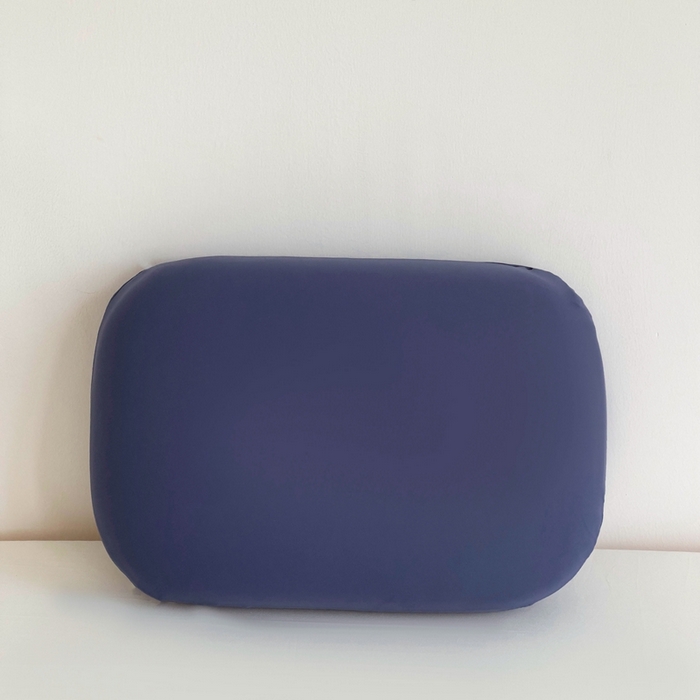 91家纺网 家纺一手货源 找家纺 （总）土多多枕芯 2025新款凉感丝小抱枕记忆棉枕头学生午睡枕办公室靠垫枕芯