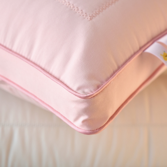 91家纺网 家纺一手货源 找家纺 （总）帝诺妮枕芯坊 2026新款亲肤羽丝棉枕芯-一路生花