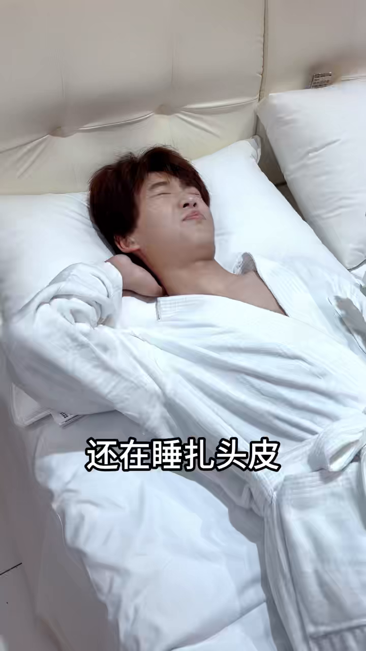 91家纺网 家纺一手货源 找家纺 （总）安力森/诚臻酒店用品 2026新款星级酒店鹅丝枕芯护颈枕头成人单人不扎头无异味高回弹家用助眠枕