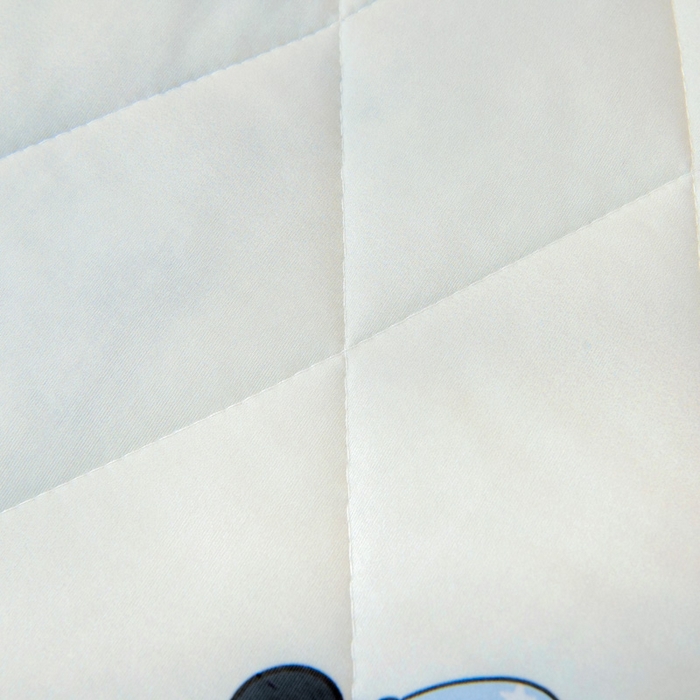 91家纺网 家纺一手货源 找家纺 鱼宝 2026春夏新款数码印花儿童凉感丝夏被夏凉被空调被 花园熊猫