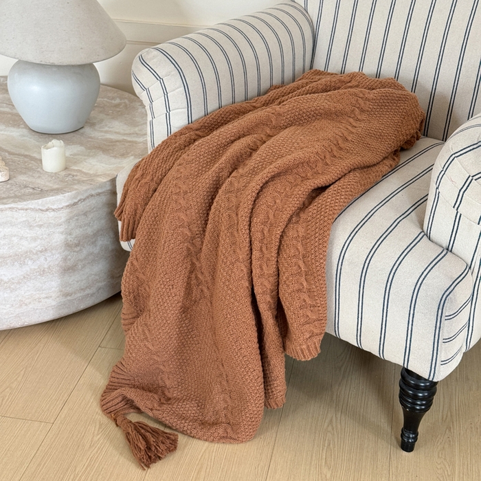 91家纺网 家纺一手货源 找家纺 丹本家纺 2026新款针织毛毯鹿毛绒纯色流苏航空休闲毯办公午睡盖毯多功能装饰毯 驼棕