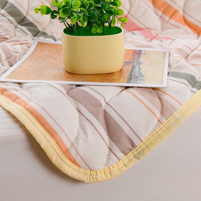 91家纺网 家纺一手货源 找家纺 圣楚家纺 2026新款清柔水洗夏被被子被芯 彩条