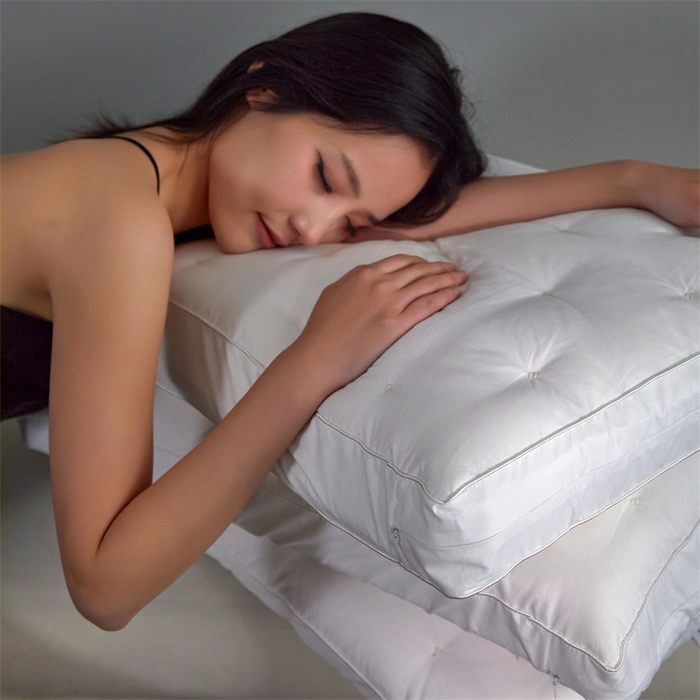 91家纺网 家纺一手货源 找家纺 （总）头等舱 2026新款高定桑蚕丝白鹅绒深睡护颈记忆棉枕芯