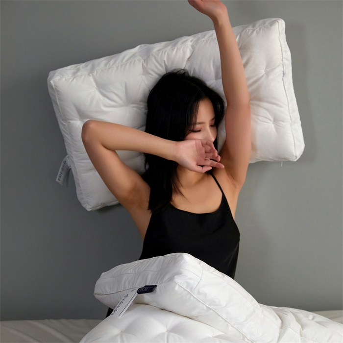 91家纺网 家纺一手货源 找家纺 （总）头等舱 2026新款高定桑蚕丝白鹅绒深睡护颈记忆棉枕芯