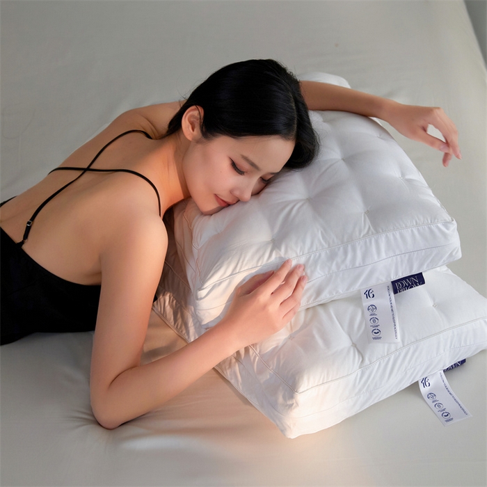 91家纺网 家纺一手货源 找家纺 （总）头等舱 2026新款高定桑蚕丝白鹅绒深睡护颈记忆棉枕芯