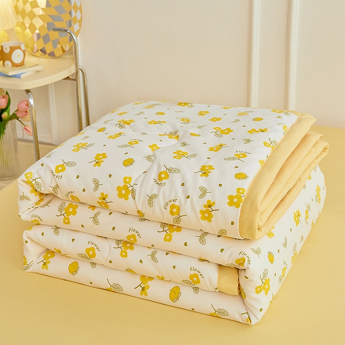 卡斯诺家纺馆 2026新款水洗棉麻双层纱夏被夏凉被空调被 烟雨霓裳