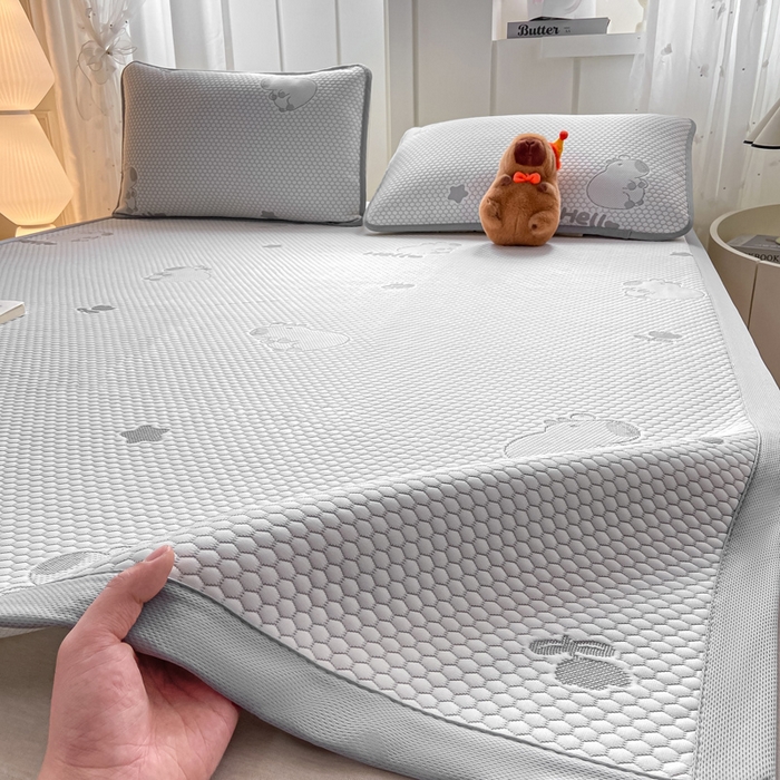 家喜爱 2026新款冰感豆豆软凉席高克重加捻不起球-场景二 卡皮巴拉-灰色