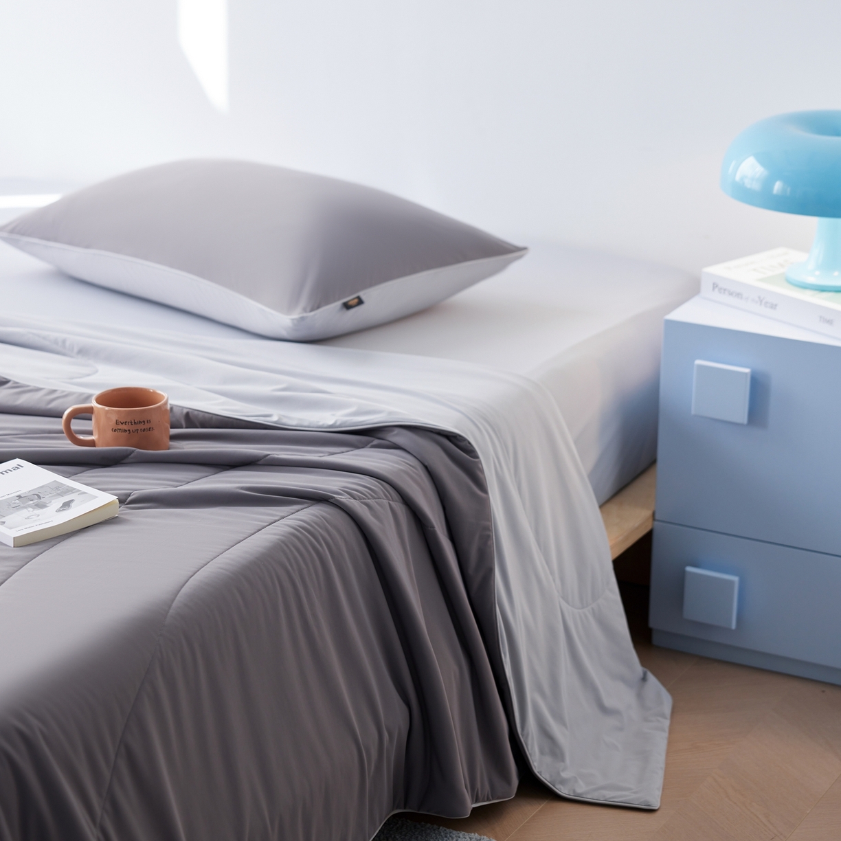 91家纺网 家纺一手货源 找家纺 丽笙被芯 2026新款冰皮凉凉夏被夏凉被空调被 炭烧椰子