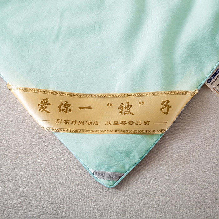 91家纺网 家纺一手货源 找家纺 红日子纺织品 2026新款A类水洗棉冰淇淋夏被空调被 绿拼灰