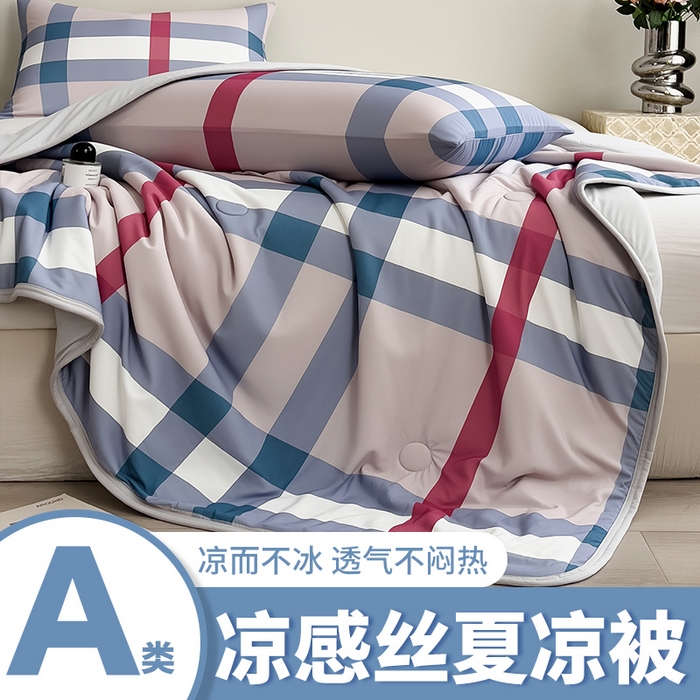 91家纺网 家纺一手货源 找家纺 （总）世纪绒品 2026新款A类印花凉感丝夏被夏凉被空调被