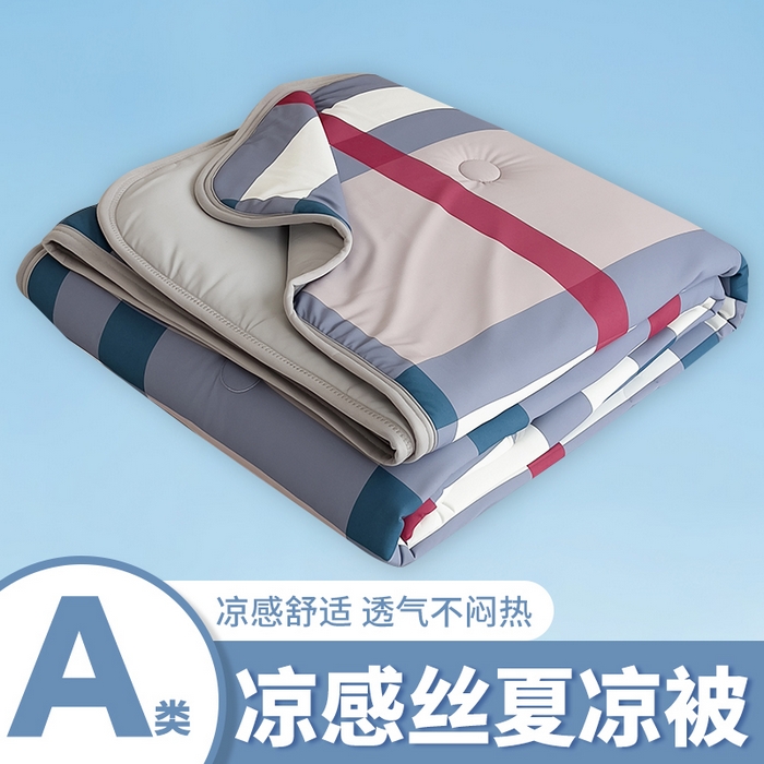 世纪绒品 2026新款A类印花凉感丝夏被夏凉被空调被 巴宝格