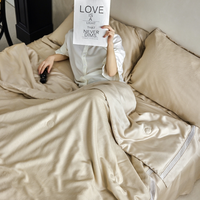 91家纺网 家纺一手货源 找家纺 丽笙被芯 2026新款兰精天丝提花蚕宝夏被夏凉被空调被 浅茶咖