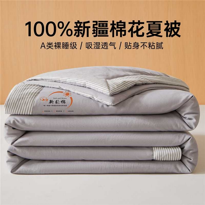 初相识被业 2026新款无印风100%新疆棉花夏被空调被可机洗夏凉被棉花被子（提供质检报告买家秀） 风禾-高级灰