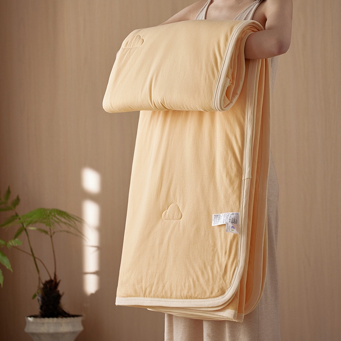 91家纺网 家纺一手货源 找家纺 （总）风向标家纺 2026新款全棉云感针织棉双拼夏被夏凉被空调被