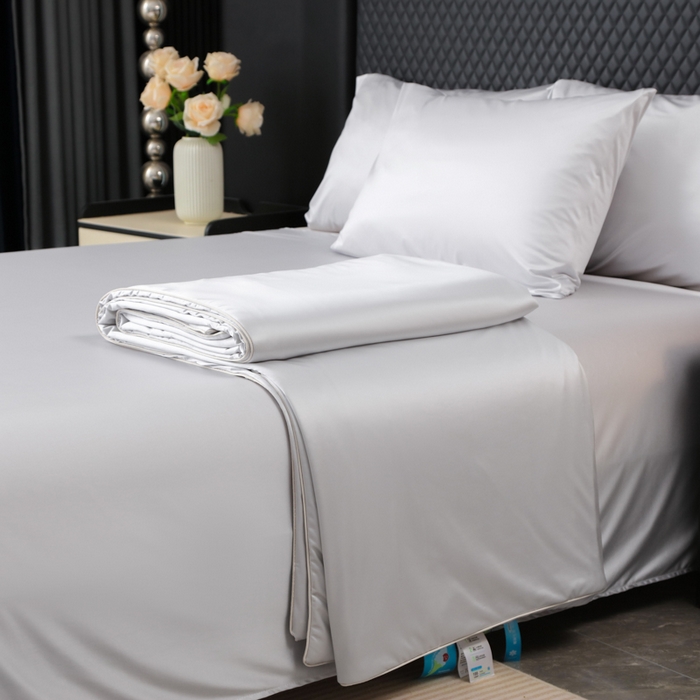 91家纺网 家纺一手货源 找家纺 爱彼家纺 2026新款高端流锻水光夏被冰肌锦氨A类夏被夏凉被空调被（超亲肤） 银月天丝灰