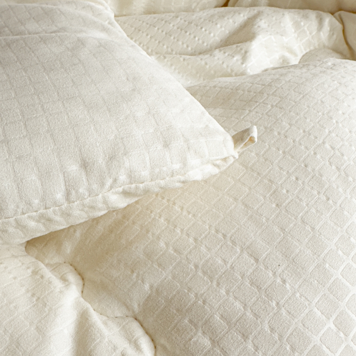 91家纺网 家纺一手货源 找家纺 玉相逢 2026新款A类原棉无染大豆纤维被子被芯 无染-白色