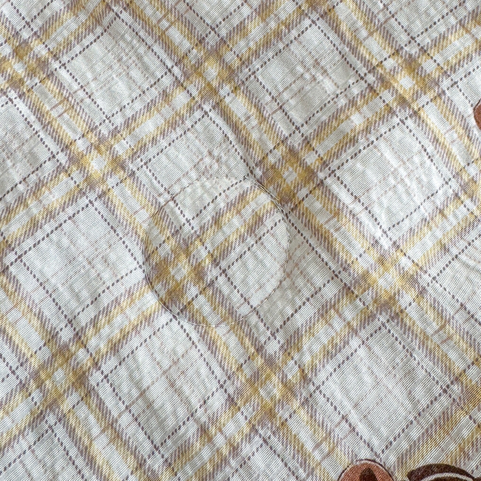 91家纺网 家纺一手货源 找家纺 晚爱家纺（原晚安家居） 2026新款泡芙棉夏被双层纱泡泡纱空调被小清新夏凉被 格纹狗