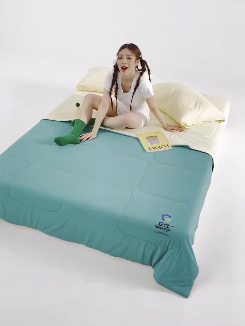 91家纺网 家纺一手货源 找家纺 （总）莱福仕 2026新款卫仕净护彩盾凉感夏被被子被芯