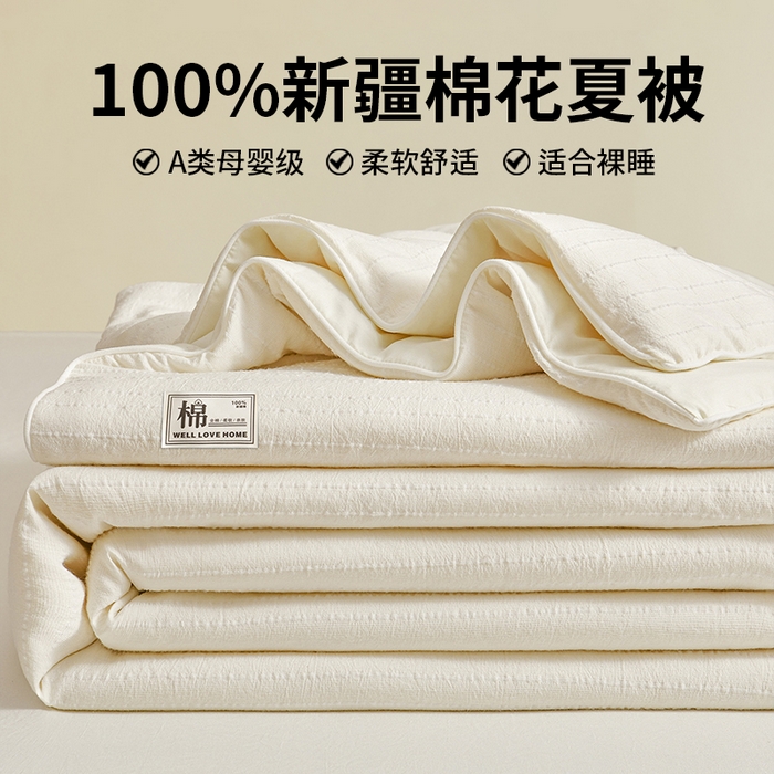 晓时候 2026新款色织水洗棉麻100%新疆棉花被夏被全棉被子夏凉被空调被 珍珠白